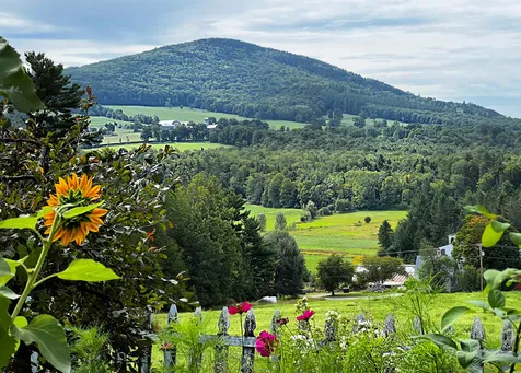 3954 West Barnet Road Barnet VT 05821