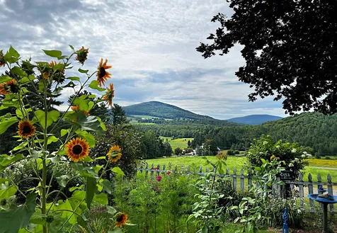 3954 West Barnet Road Barnet VT 05821