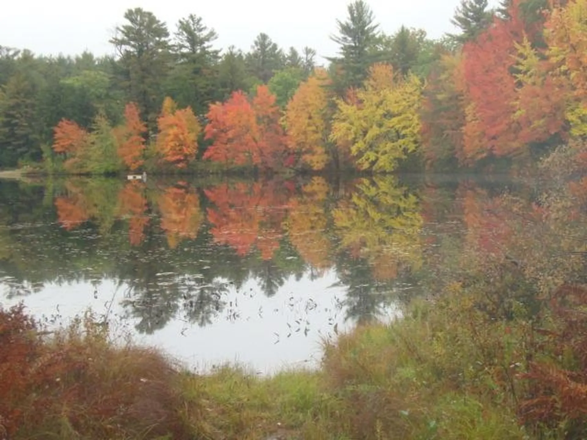 Street Paul's Place Danbury NH 03230