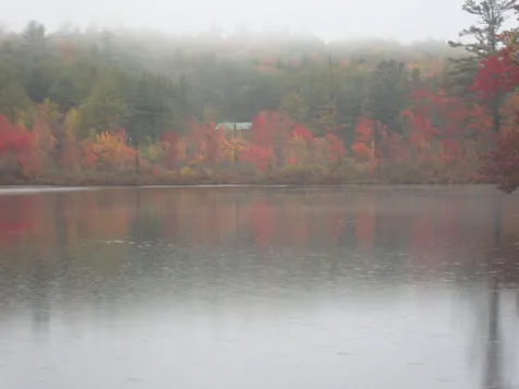 Street Paul's Place Danbury NH 03230