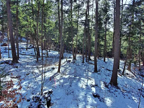 502 Fuller Hill Road Warren VT 05674