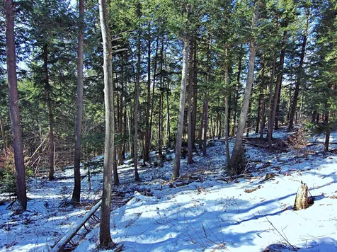 502 Fuller Hill Road Warren VT 05674