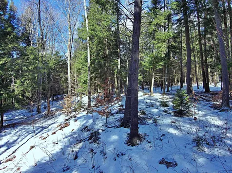 502 Fuller Hill Road Warren VT 05674