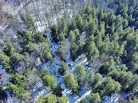 502 Fuller Hill Road Warren VT 05674