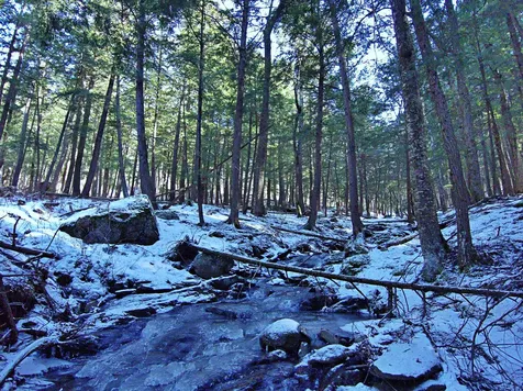 502 Fuller Hill Road Warren VT 05674