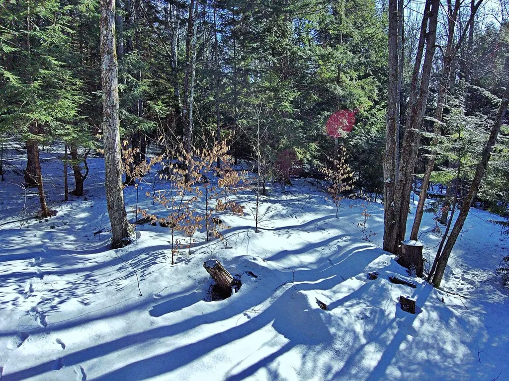 502 Fuller Hill Road Warren VT 05674