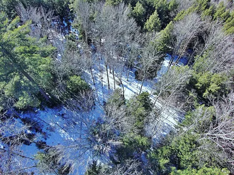 502 Fuller Hill Road Warren VT 05674