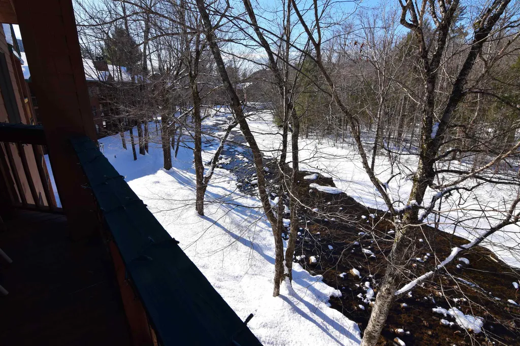 65 Riverfront Drive Woodstock NH 03262