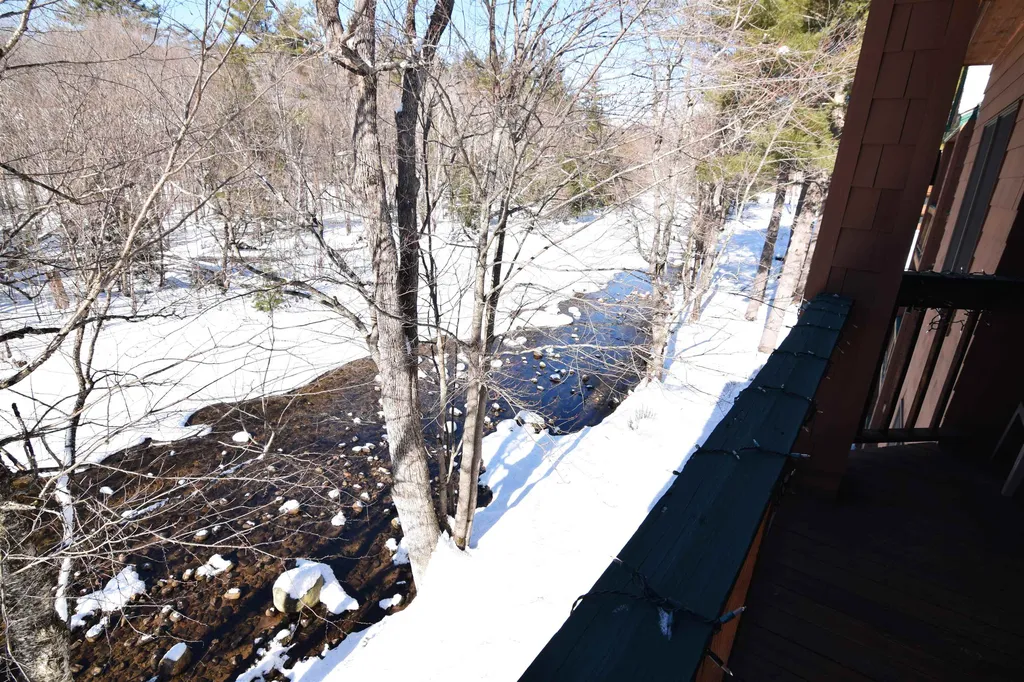 65 Riverfront Drive Woodstock NH 03262