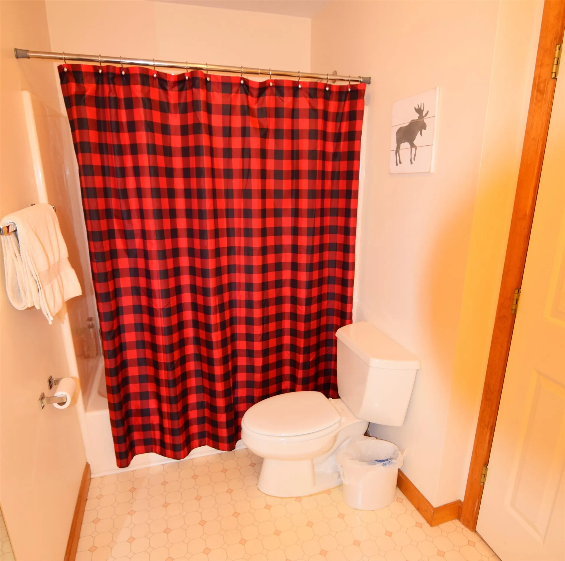 65 Riverfront Drive Woodstock NH 03262