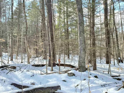 102 Mcadam Road Westmoreland NH 03467