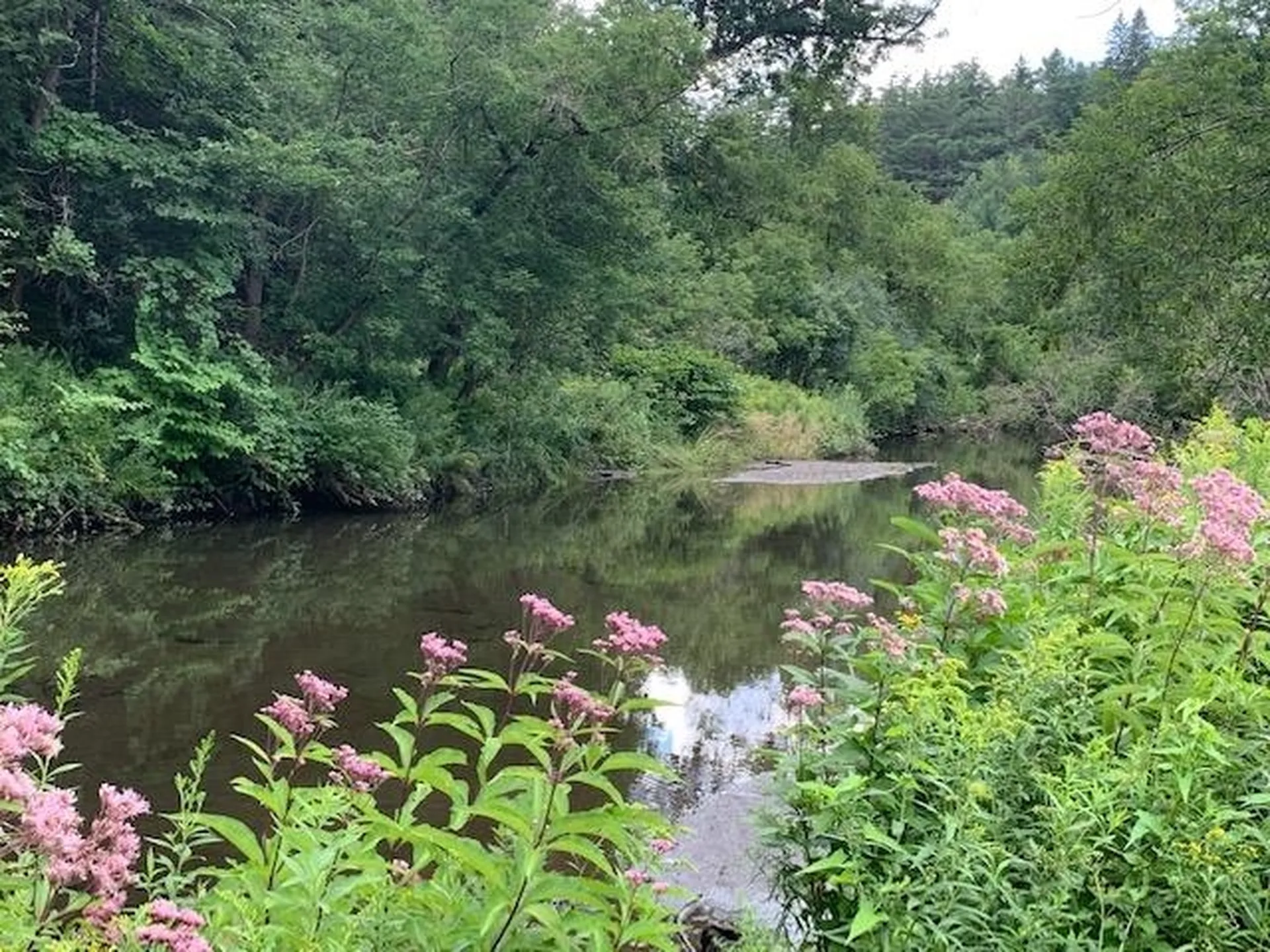 0 Barnard Road Woodstock VT 05091