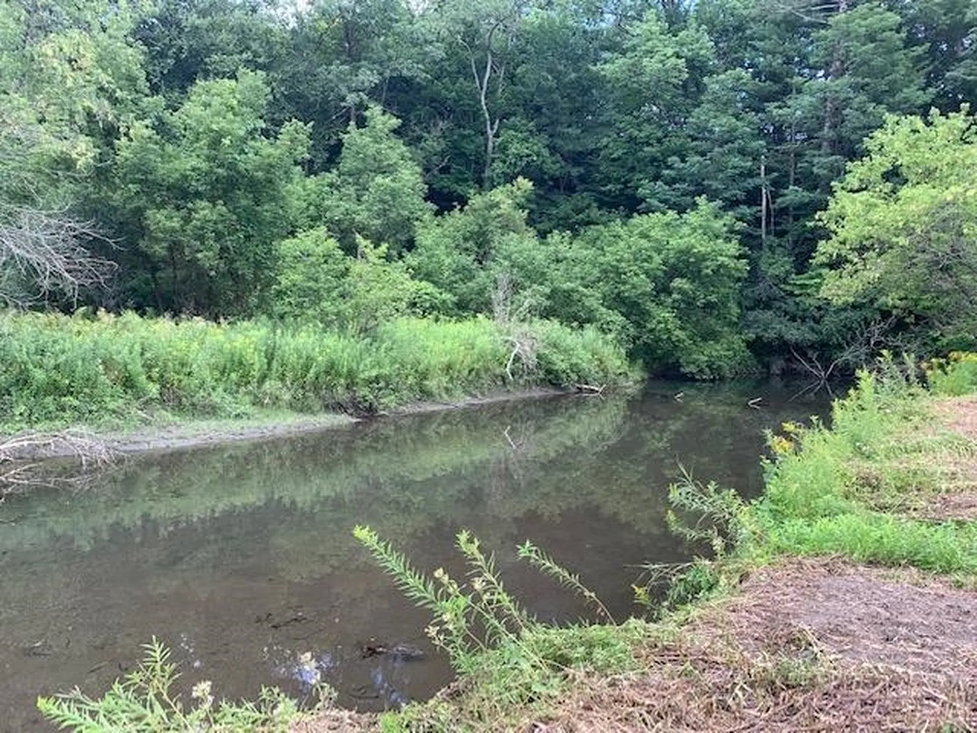 0 Barnard Road Woodstock VT 05091