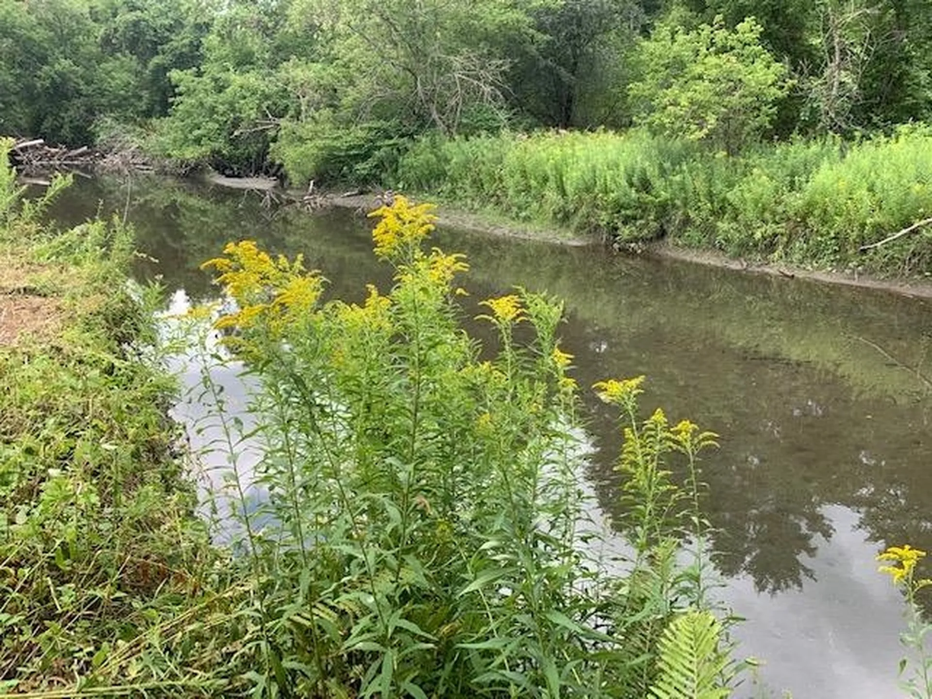 0 Barnard Road Woodstock VT 05091