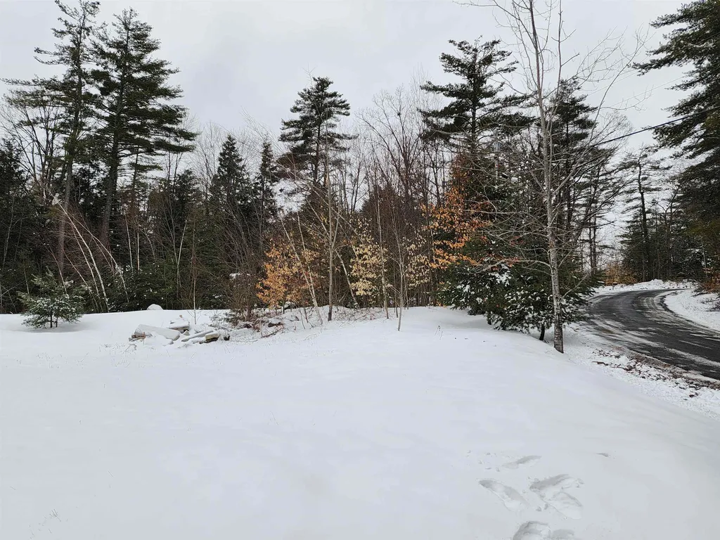 163 Rabbit Hollow Road Winchester NH 03470