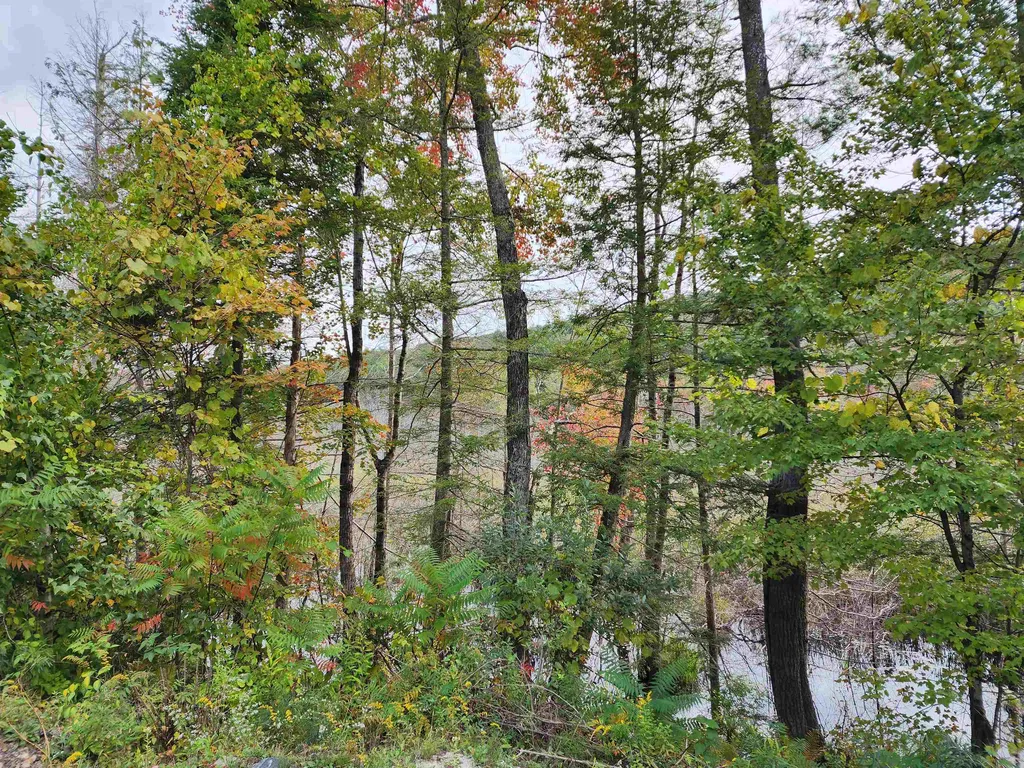 163 Rabbit Hollow Road Winchester NH 03470