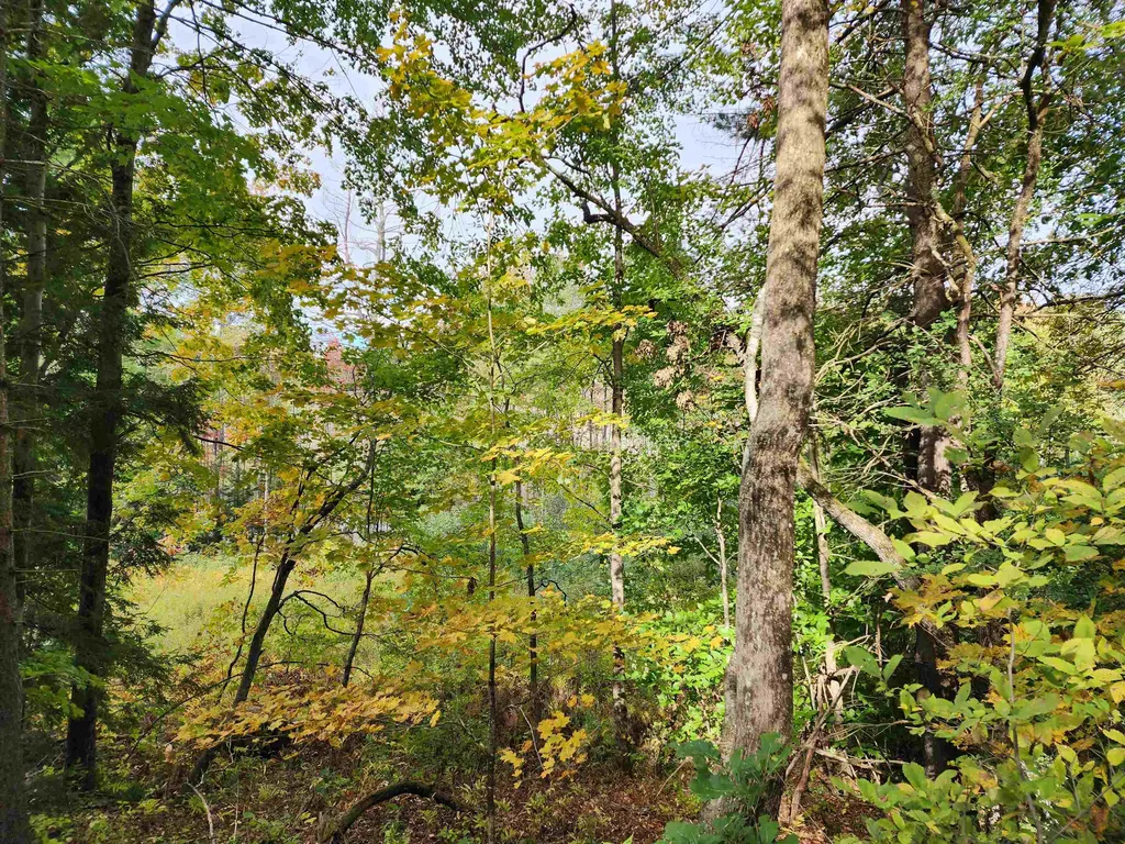 163 Rabbit Hollow Road Winchester NH 03470