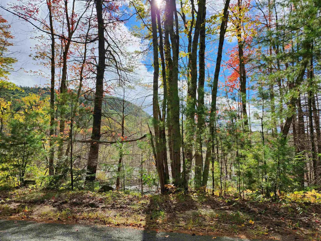 163 Rabbit Hollow Road Winchester NH 03470