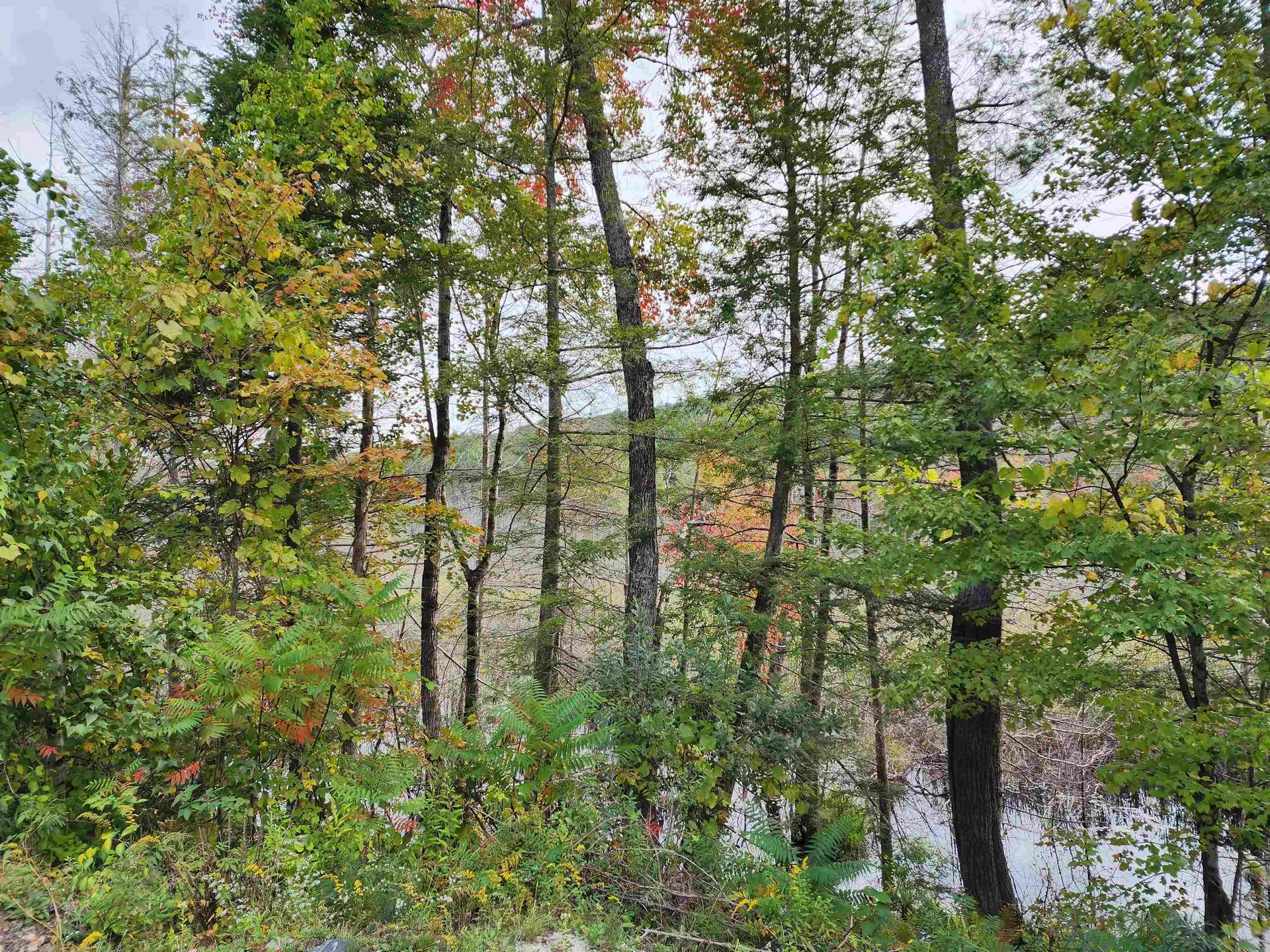 163 Rabbit Hollow Road Winchester NH 03470