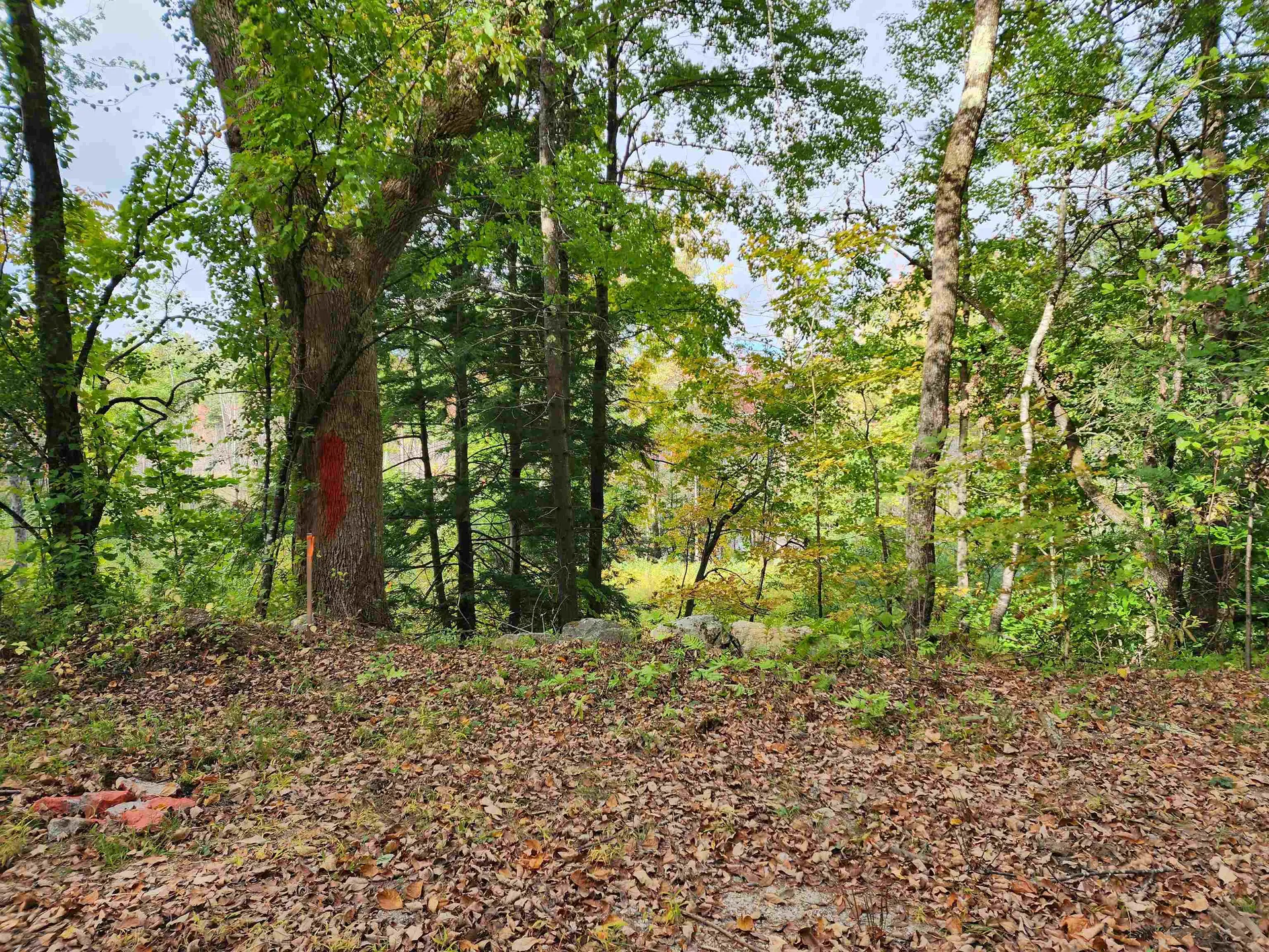 163 Rabbit Hollow Road Winchester NH 03470