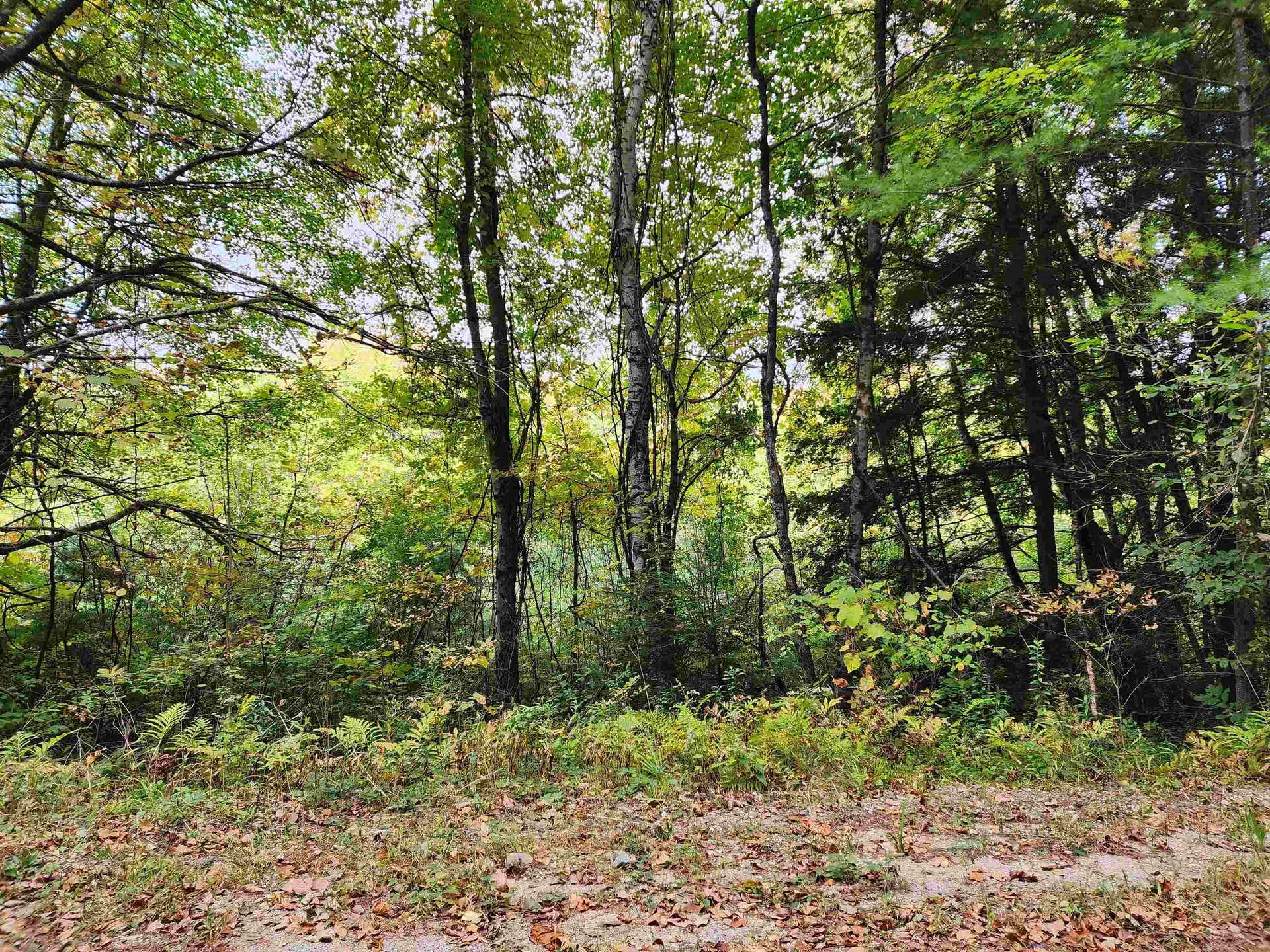 163 Rabbit Hollow Road Winchester NH 03470