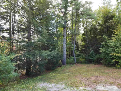 163 Rabbit Hollow Road Winchester NH 03470