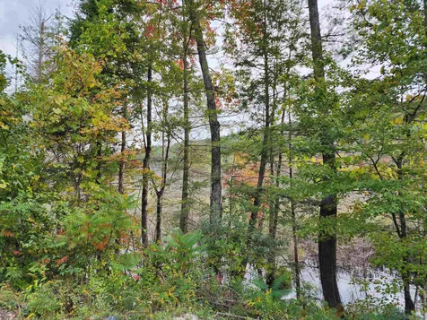 163 Rabbit Hollow Road Winchester NH 03470