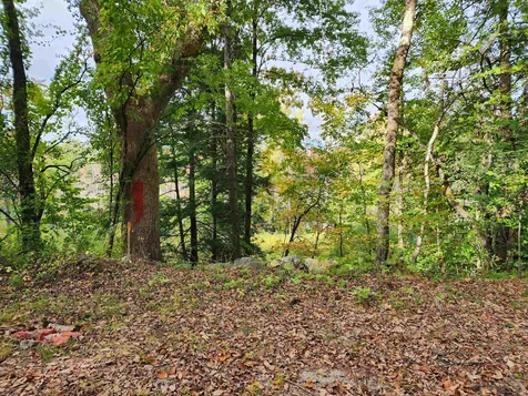 163 Rabbit Hollow Road Winchester NH 03470