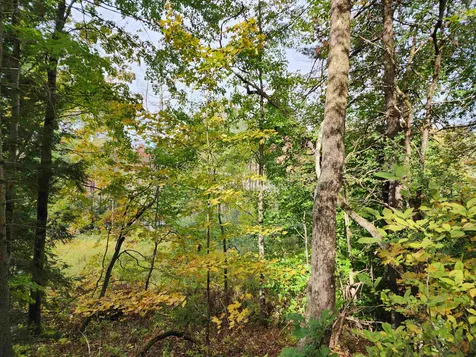 163 Rabbit Hollow Road Winchester NH 03470