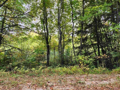 163 Rabbit Hollow Road Winchester NH 03470