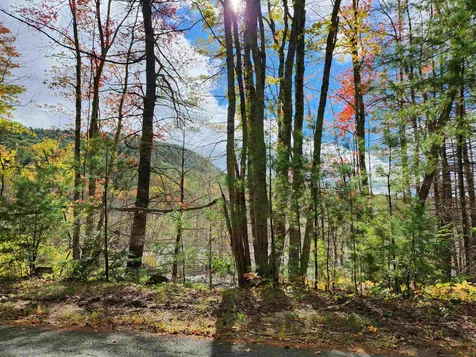 163 Rabbit Hollow Road Winchester NH 03470