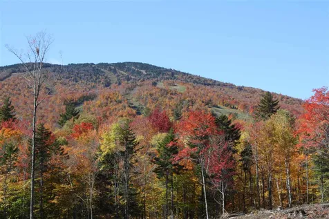 4 Gold Medal Circle Stratton VT 05155