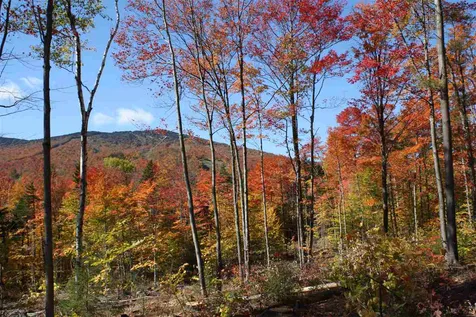 4 Gold Medal Circle Stratton VT 05155