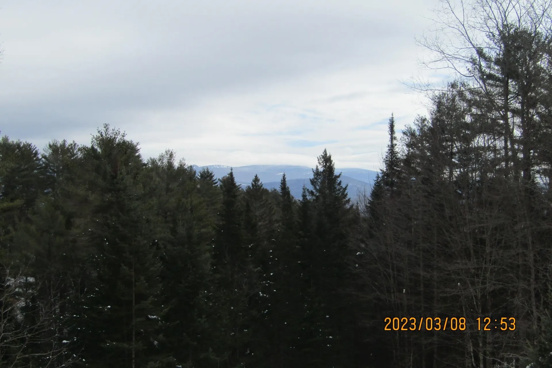 151 Southview Road Newbury VT 05051