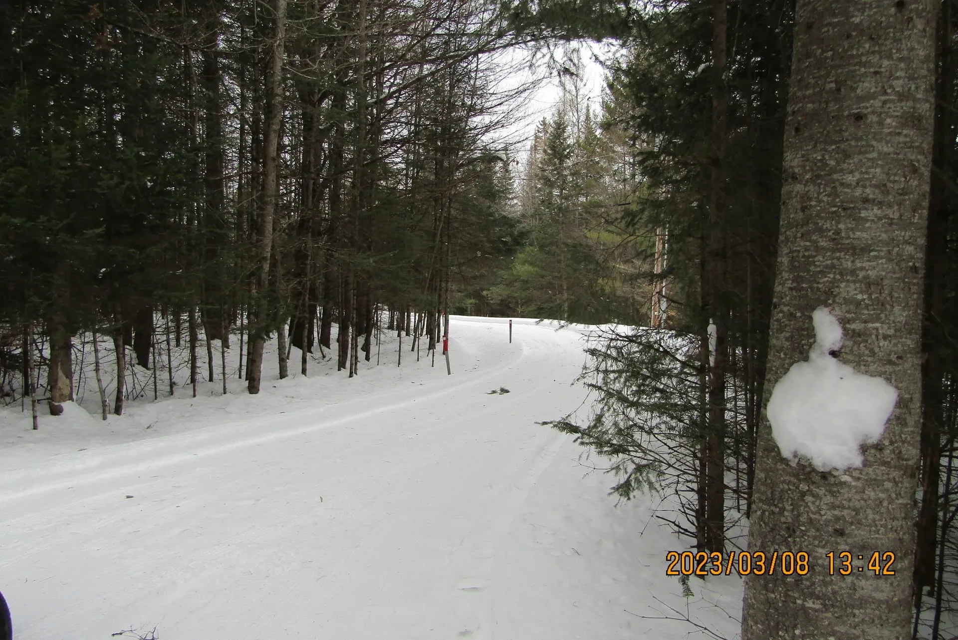 151 Southview Road Newbury VT 05051