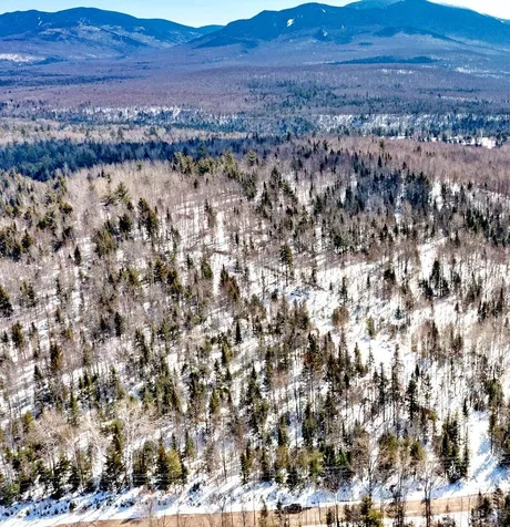 Tbd Beech Hill Road Bethlehem NH 03574