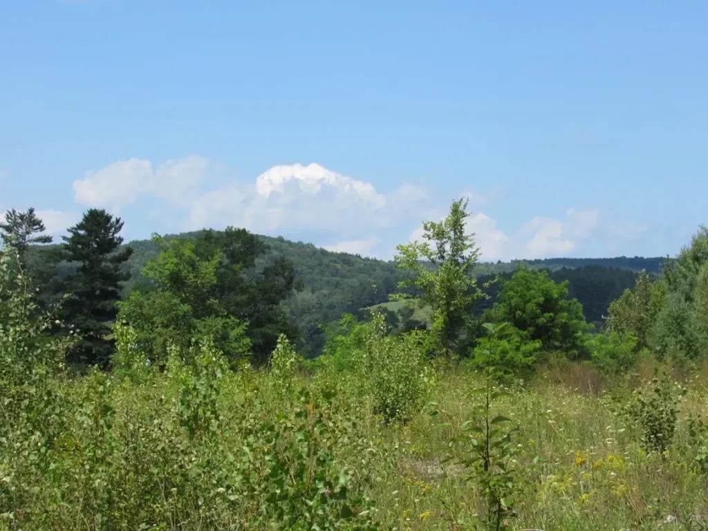 458 Woodstock Road Woodstock VT 05091