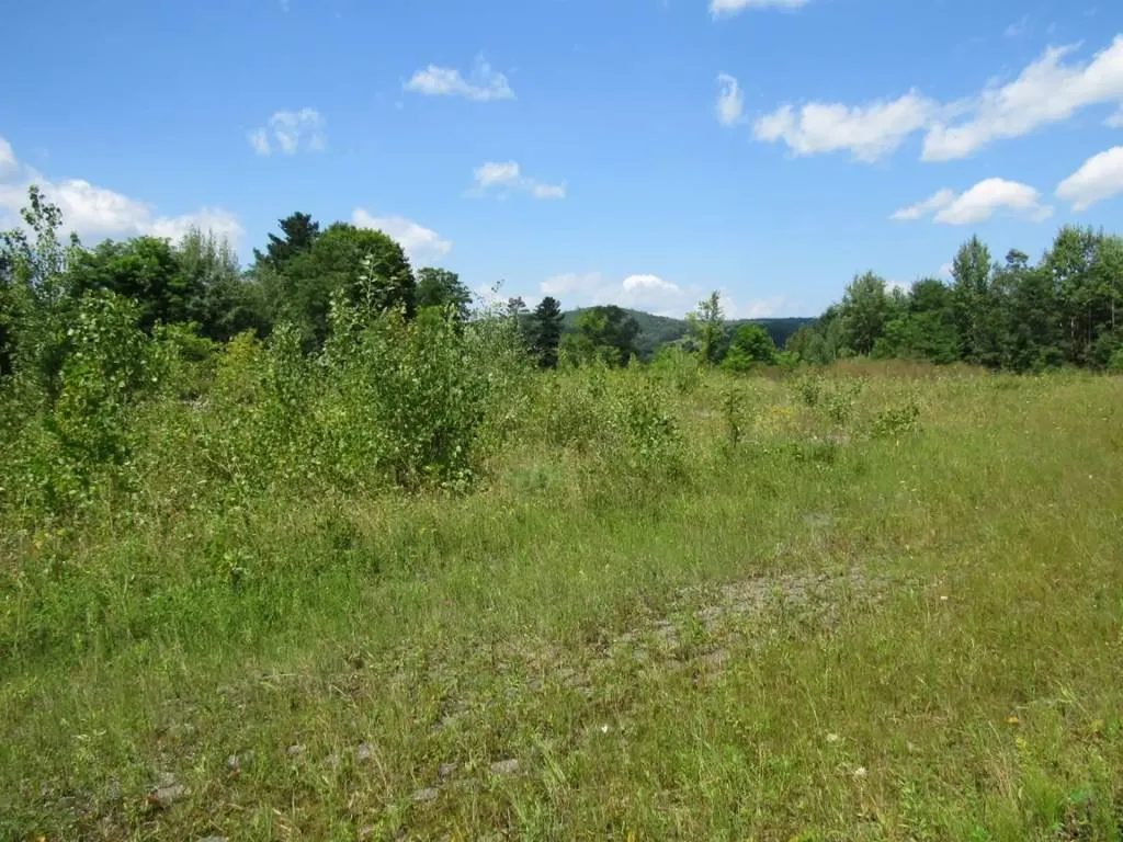 458 Woodstock Road Woodstock VT 05091