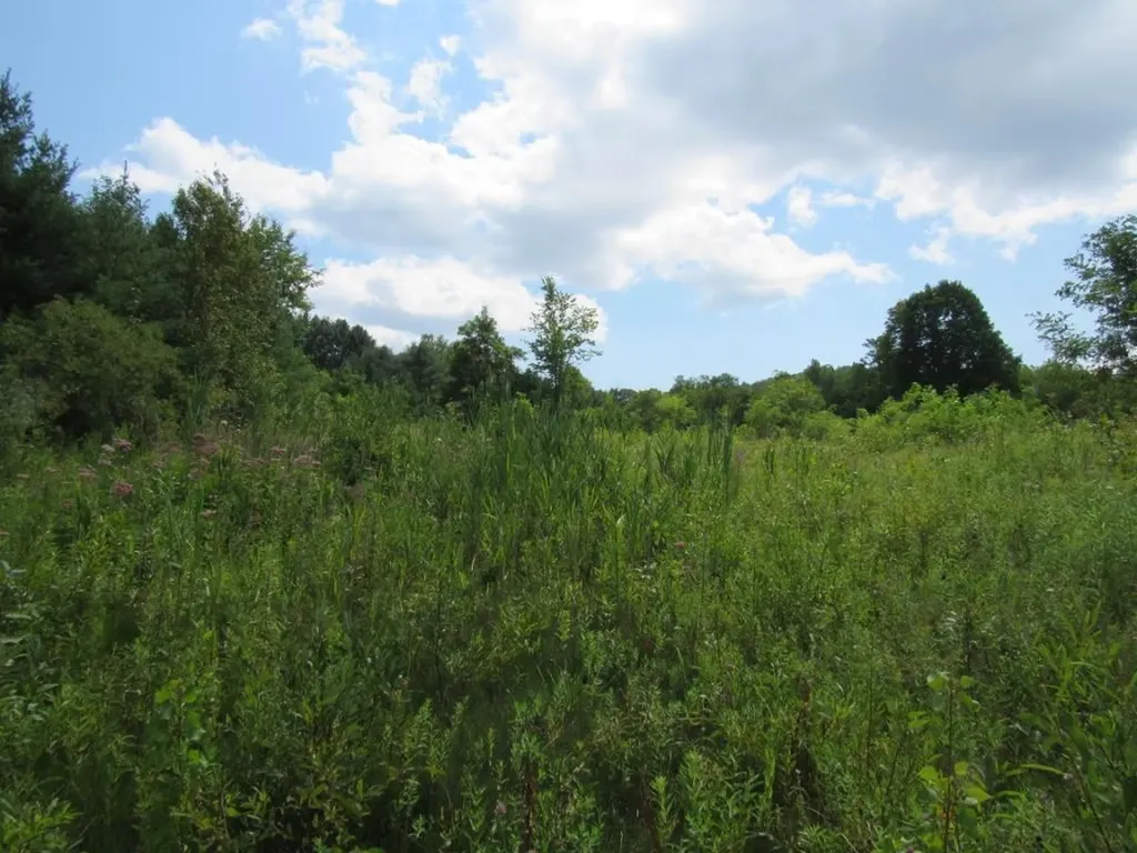 458 Woodstock Road Woodstock VT 05091