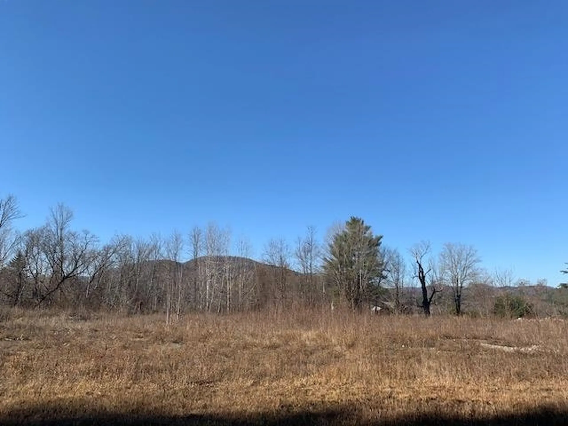 458 Woodstock Road Woodstock VT 05091