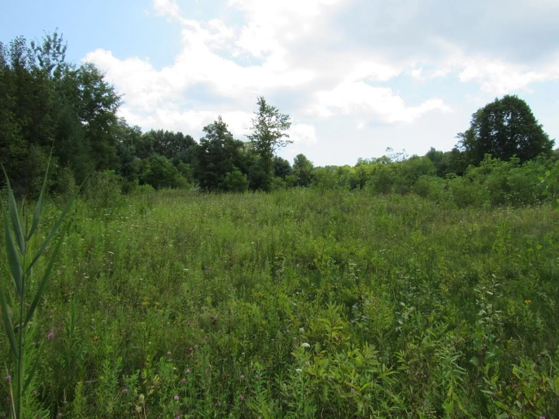 458 Woodstock Road Woodstock VT 05091