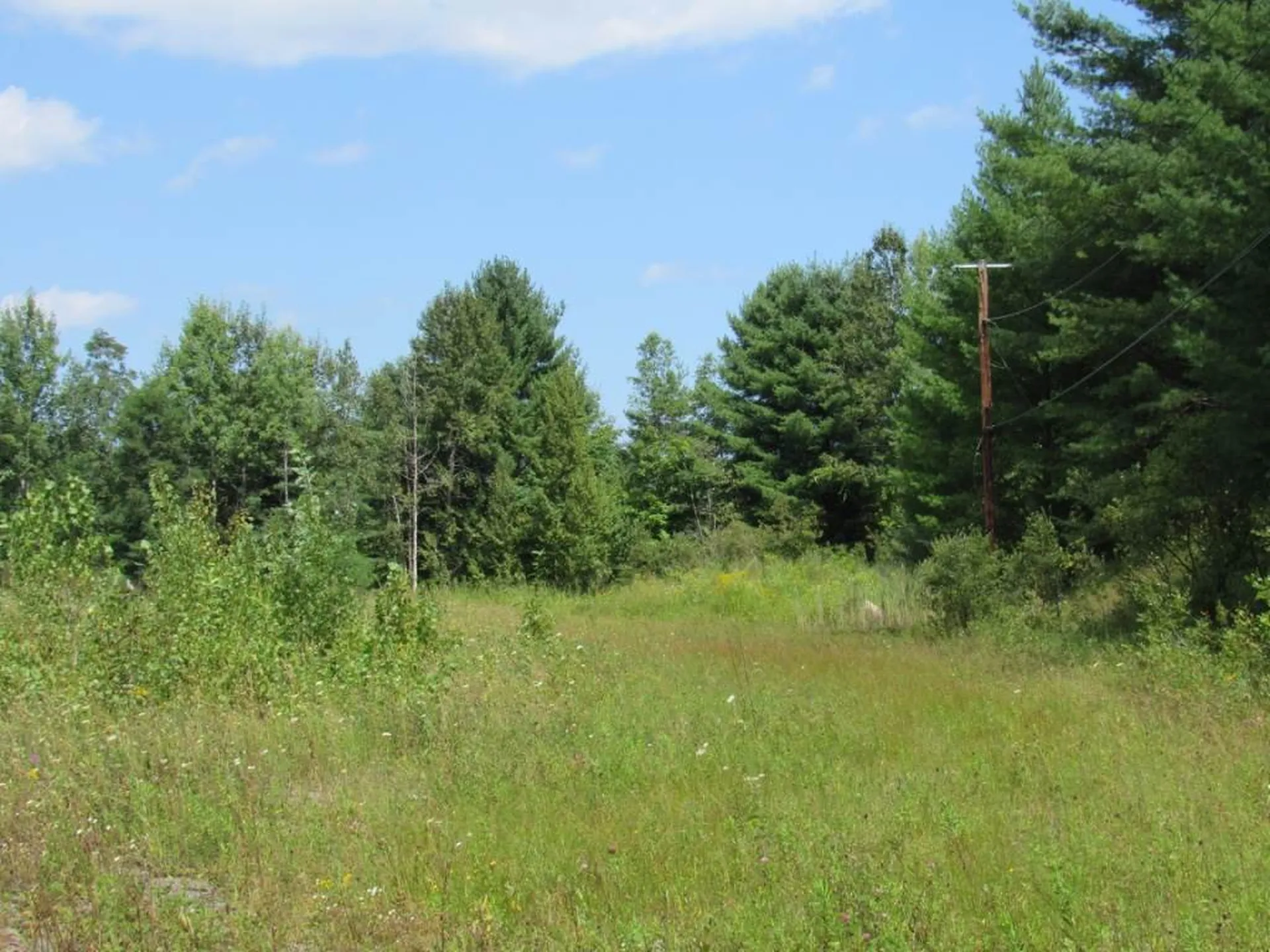 458 Woodstock Road Woodstock VT 05091