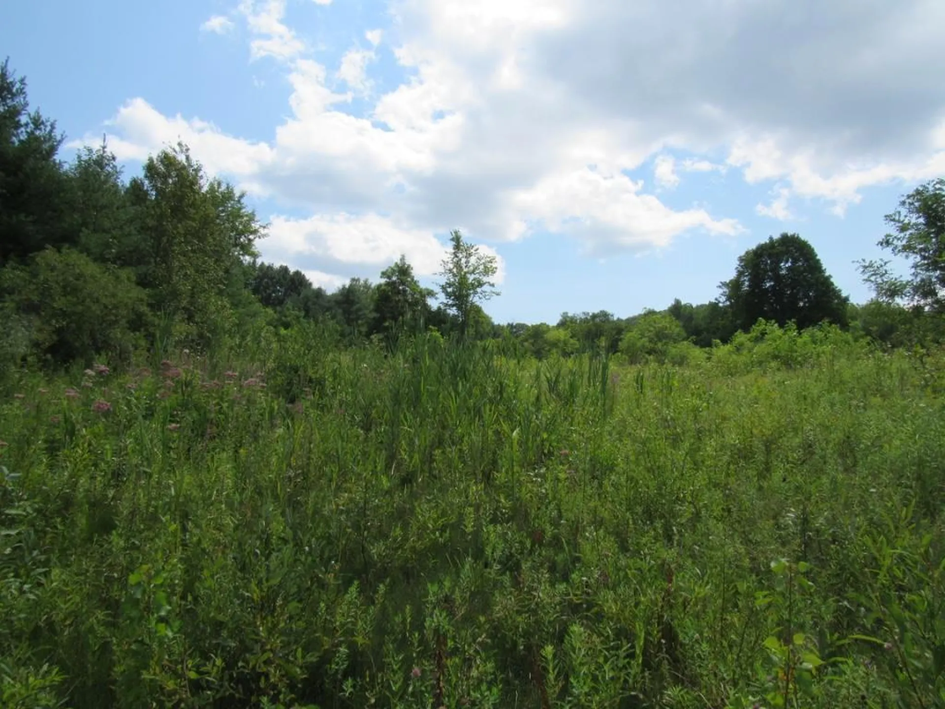 458 Woodstock Road Woodstock VT 05091