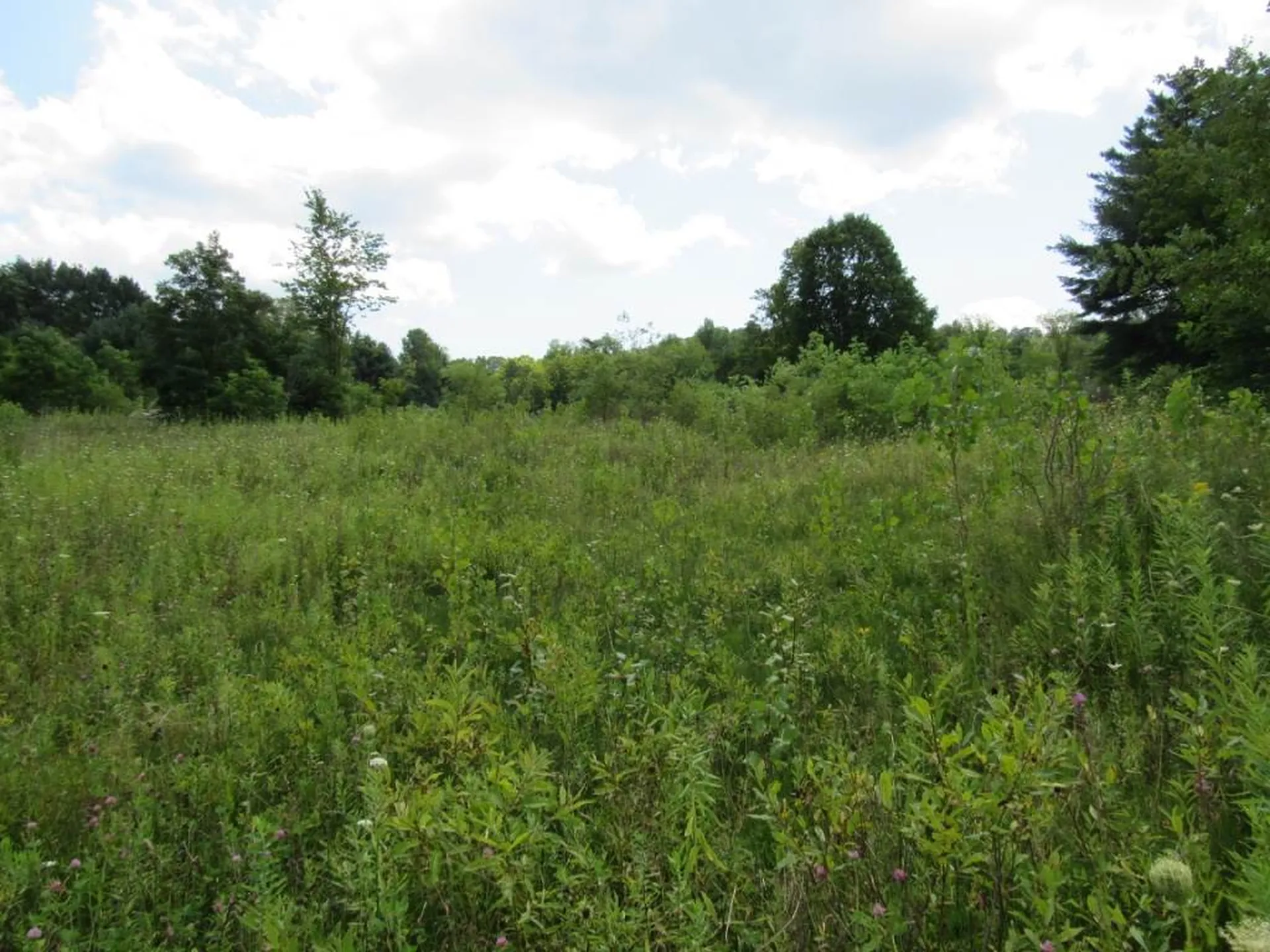 458 Woodstock Road Woodstock VT 05091