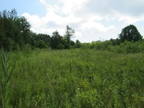 458 Woodstock Road Woodstock VT 05091