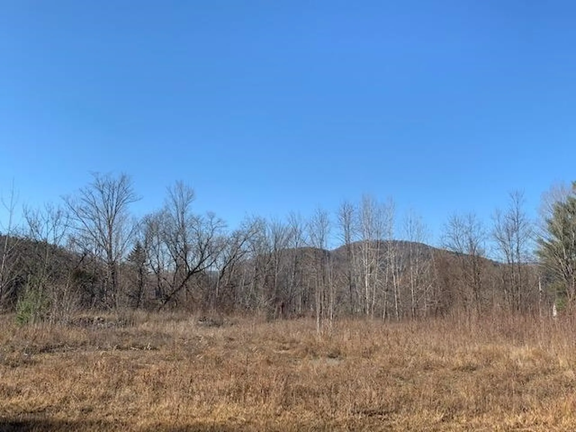 458 Woodstock Road Woodstock VT 05091