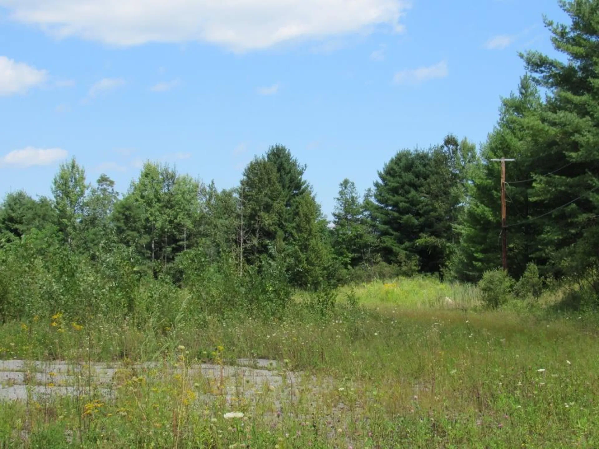 458 Woodstock Road Woodstock VT 05091