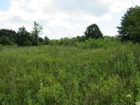 458 Woodstock Road Woodstock VT 05091