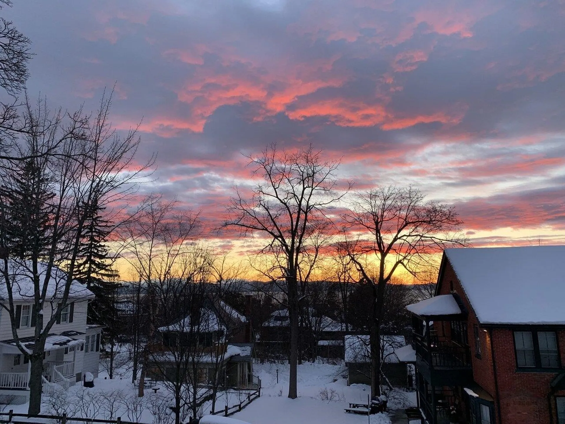 62 Harrington Terrace Burlington VT 05401