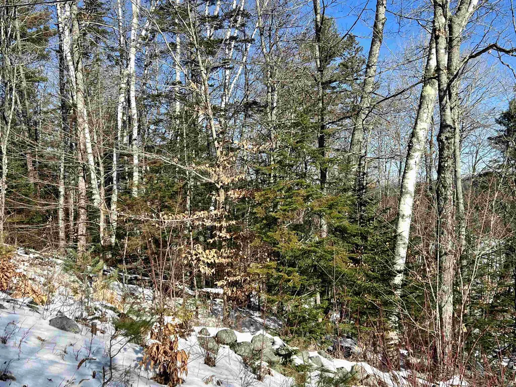 0 Corey Hill Road Newbury VT 05051